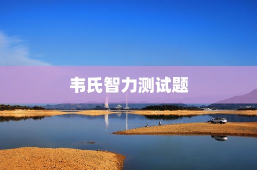 韦氏智力测试题