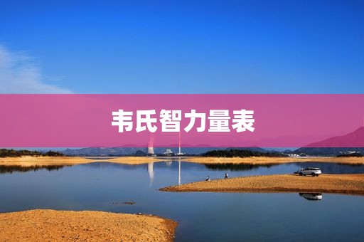 韦氏智力量表