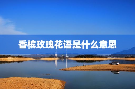 香槟玫瑰花语是什么意思