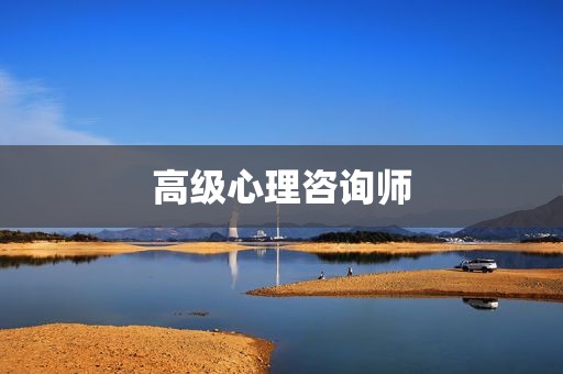 高级心理咨询师