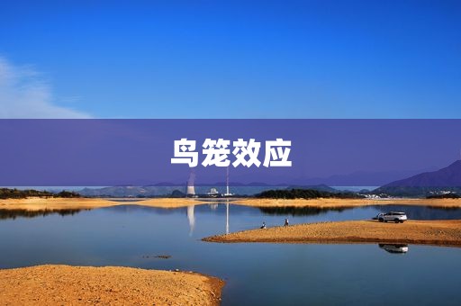 鸟笼效应