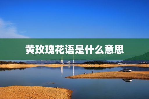 黄玫瑰花语是什么意思