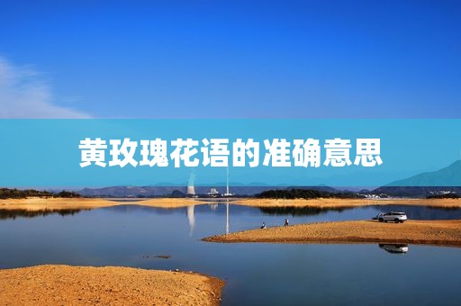 黄玫瑰花语的准确意思