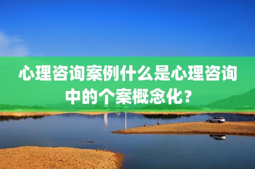 心理咨询案例什么是心理咨询中的个案概念化？