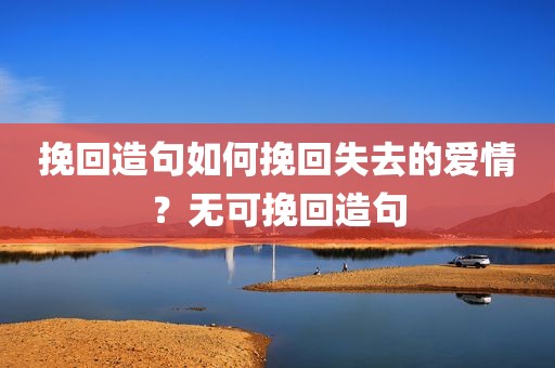 挽回造句如何挽回失去的爱情？无可挽回造句
