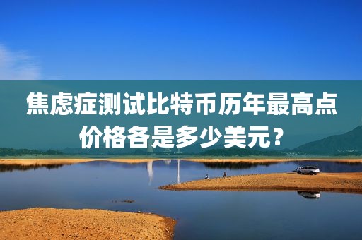 焦虑症测试比特币历年最高点价格各是多少美元？