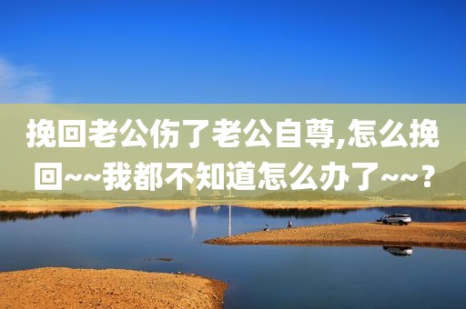 挽回老公伤了老公自尊,怎么挽回~~我都不知道怎么办了~~？