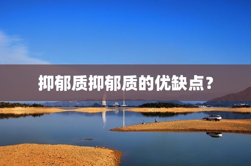 抑郁质抑郁质的优缺点？