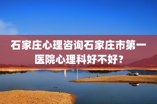 石家庄心理咨询石家庄市第一医院心理科好不好？