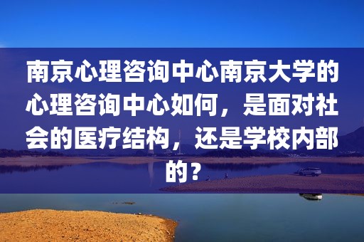南京心理咨询中心南京大学的心理咨询中心如何，是面对社会的医疗结构，还是学校内部的？