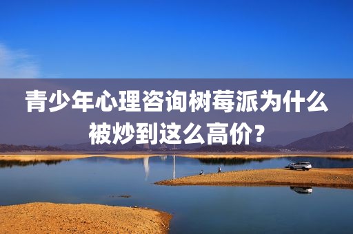 青少年心理咨询树莓派为什么被炒到这么高价？