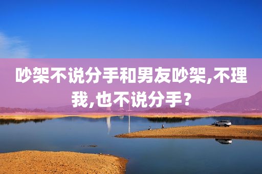 吵架不说分手和男友吵架,不理我,也不说分手？