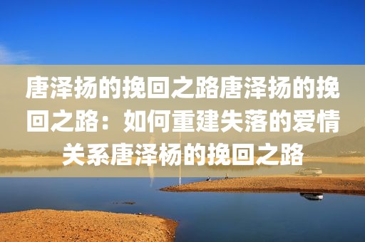 唐泽扬的挽回之路唐泽扬的挽回之路：如何重建失落的爱情关系唐泽杨的挽回之路