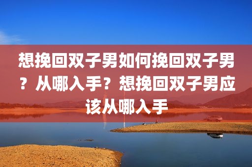 想挽回双子男如何挽回双子男？从哪入手？想挽回双子男应该从哪入手