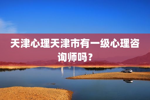 天津心理天津市有一级心理咨询师吗？
