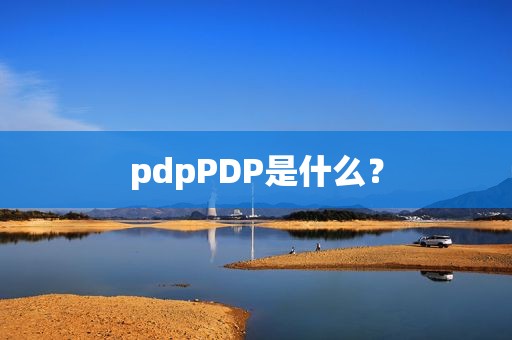 pdpPDP是什么？