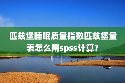 匹兹堡睡眠质量指数匹兹堡量表怎么用spss计算？
