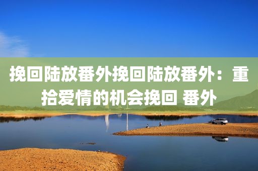 挽回陆放番外挽回陆放番外：重拾爱情的机会挽回 番外