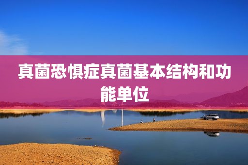 真菌恐惧症真菌基本结构和功能单位