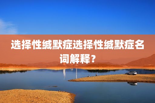 选择性缄默症选择性缄默症名词解释？