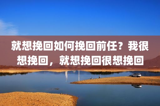 就想挽回如何挽回前任？我很想挽回，就想挽回很想挽回