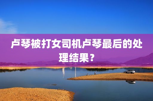 卢琴被打女司机卢琴最后的处理结果？