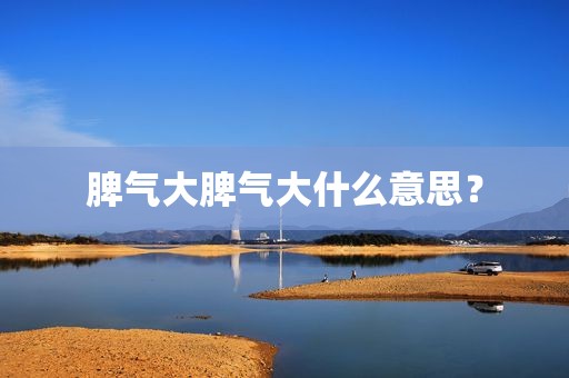 脾气大脾气大什么意思？
