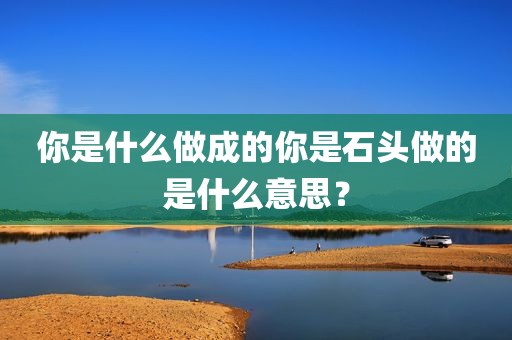 你是什么做成的你是石头做的是什么意思？