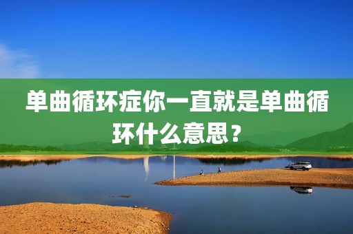 单曲循环症你一直就是单曲循环什么意思？