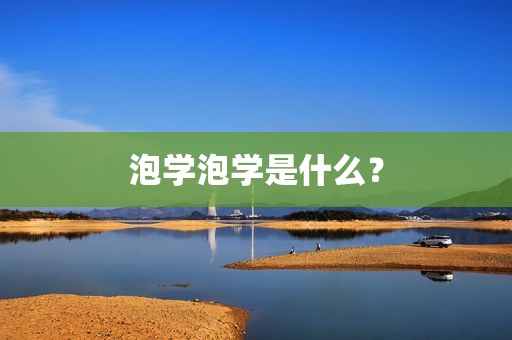 泡学泡学是什么？