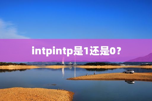 intpintp是1还是0？