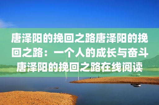 唐泽阳的挽回之路唐泽阳的挽回之路：一个人的成长与奋斗唐泽阳的挽回之路在线阅读
