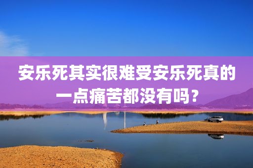 安乐死其实很难受安乐死真的一点痛苦都没有吗？