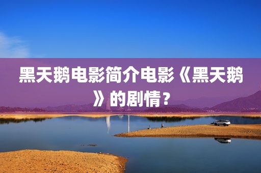 黑天鹅电影简介电影《黑天鹅》的剧情？