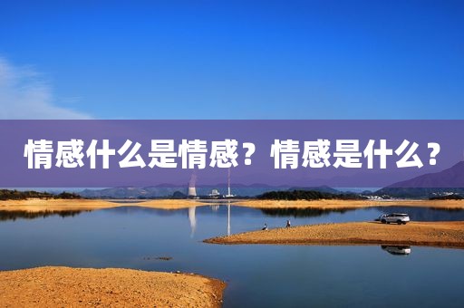 情感什么是情感？情感是什么？